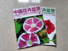 中国花卉盆景（2012年3.7）2本 16开 九品  中国花卉盆景杂志社