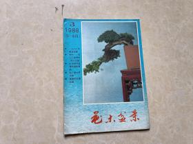 花木盆景（1988年3）1本 16开 八五品  花木盆景杂志社