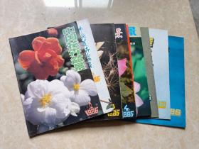 中国花卉盆景（1986年1-12全）12本 16开 九品  中国花卉盆景杂志社