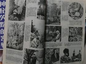 奥秘杂志（1994年1-12）12本合售   八品