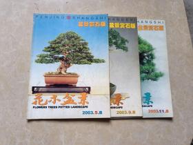 花木盆景盆景赏石（2003年5.9.11）3本 16开 八五品  花木盆景杂志社