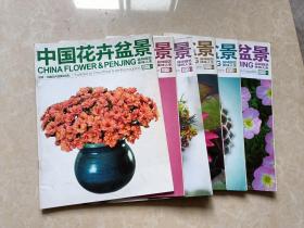 中国花卉盆景（2013年3.4.5.6.7.9）6本 16开 九品  中国花卉盆景杂志社