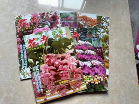花卉（2012年1.2.4.5.6.7）6本 16开 九品  大众花卉杂志社