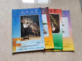 花木盆景（1993年3.4.5.6）4本 16开 八五品  花木盆景杂志社