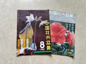 中国花卉盆景（1989年8.1112）2本 16开 八五品  中国花卉盆景杂志社