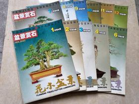 花木盆景盆景赏石（2005年1-12少5）11本 16开 八五品  花木盆景杂志社