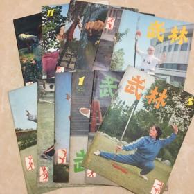 武林杂志（1982年1--12少5）11本  16开 八五品    《武林》杂志社