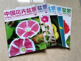 中国花卉盆景（2012年3.4.5.6.7）5本 16开 九品  中国花卉盆景杂志社