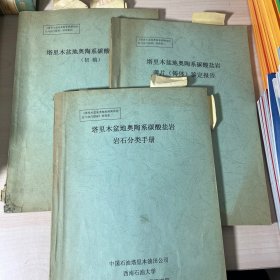 塔里木盆地奥陶系碳酸盐岩岩石分类手册+塔里木盆地奥陶系碳酸盐岩图册+塔里木盆地奥陶系碳酸盐岩薄片（铸体）鉴定报告 合售