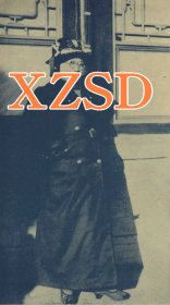 民国传奇女少将奇俊峰肖像