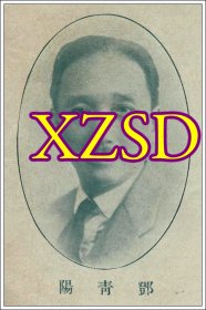 中央执行委员会西南执行部委员邓青阳（原名宪甫，字秀吉，广东三水人）肖像（翻印照片）