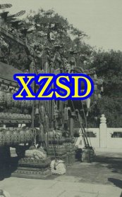 北京孔庙祭孔仪式场景之五（翻印照片）