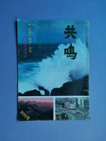 共鸣（创刊号）