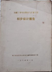 西藏丁青电站整治与扩建工程初步设计报告