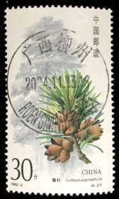 邮票 人名邮戳票 壮汉双语戳 广西·柳州君武路 2024.11.13