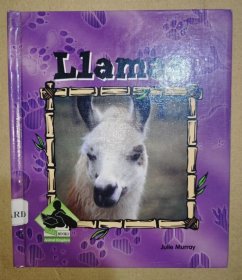 【特价二手书】Llamas (Animal Kingdom) 美洲驼（动物王国）