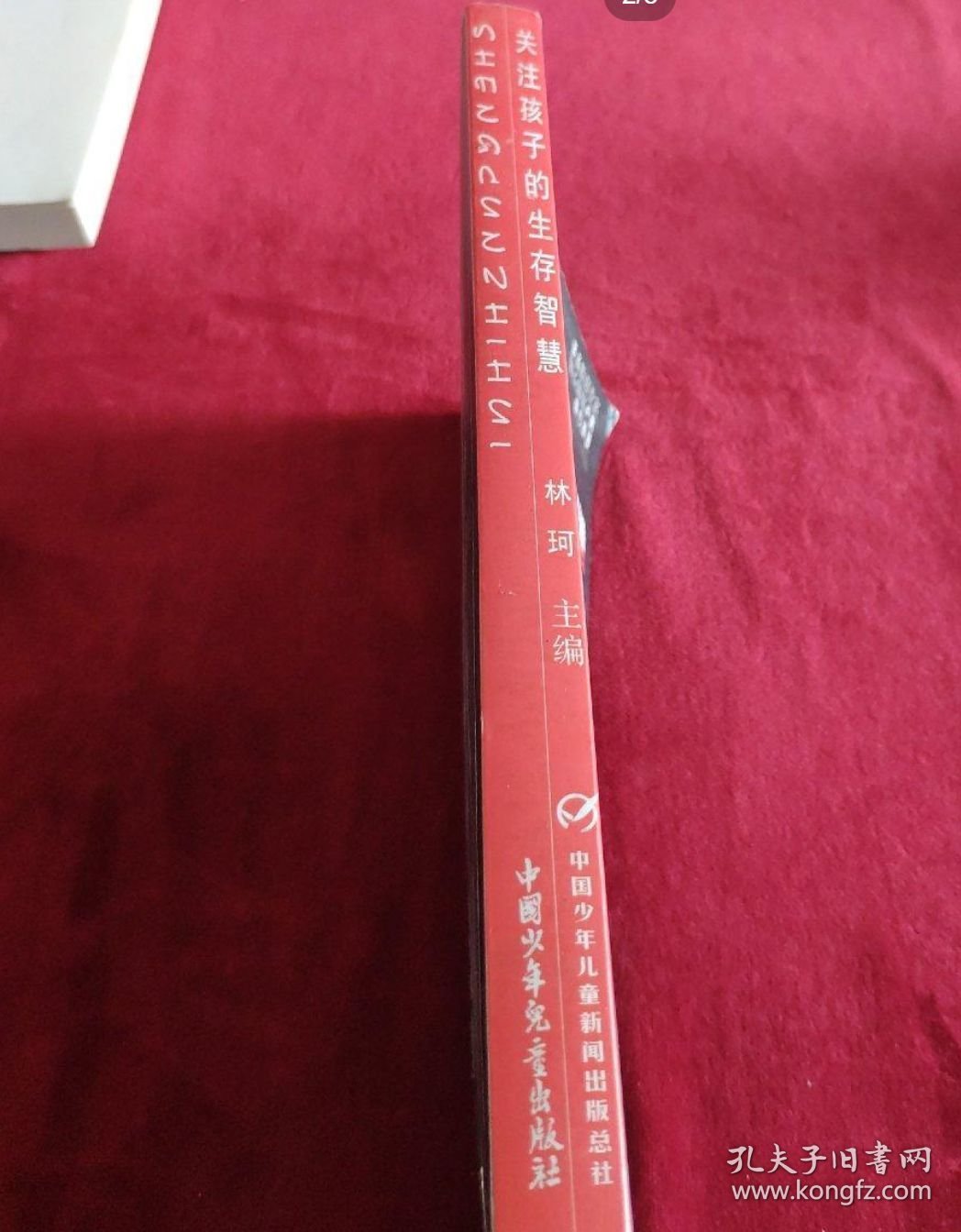 关注孩子的生存智慧:《知心姐姐》杂志家教手册