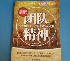 团队精神
