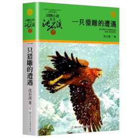 一只猎雕的遭遇动物小说大王沈石溪著小学生老师推荐课外阅读图书 儿童文学