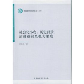 社会化小农:历史背景、演进逻辑及张力限度