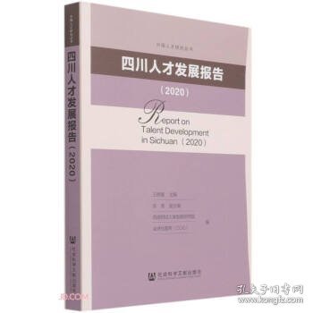 四川人才发展报告2020