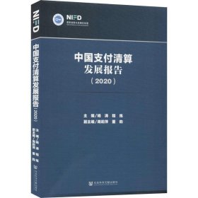 中国支付清算发展报告