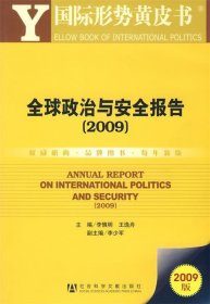 全球政治与安全报告2009版
