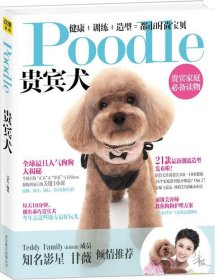 Poodle 贵宾犬