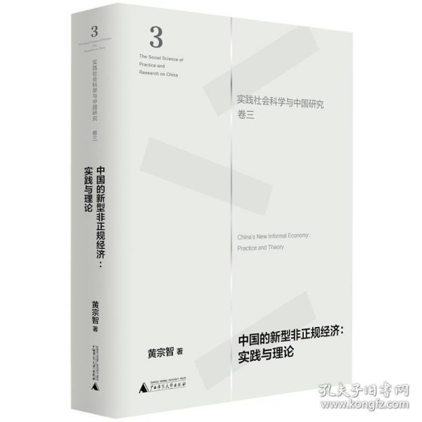 中国的新型非正规经济：实践与理论（实践社会科学与中国研究·卷三）