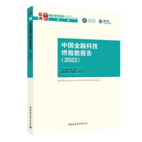 中国金融科技燃指数报告