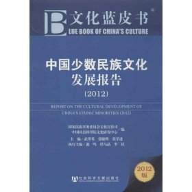 文化蓝皮书:中国少数民族文化发展报告