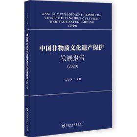 中国非物质文化遗产保护发展报告（2020）