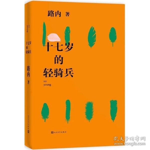 十七岁的轻骑兵