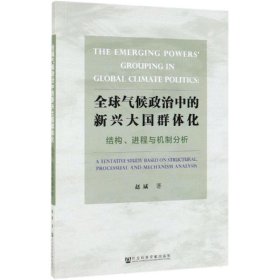 全球气候政治中的新兴大国群体化:结构、进程与机制分析