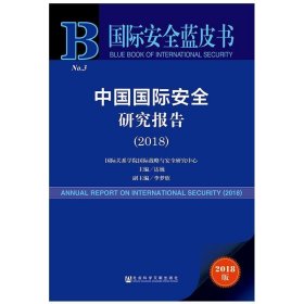 中国国际安全研究报告