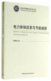 电力体制改革与节能减排/政府管制研究系列文库