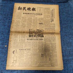 老报纸：新民晚报1984年6月6日 （胶州路集市为什么兴旺热闹？  8版）