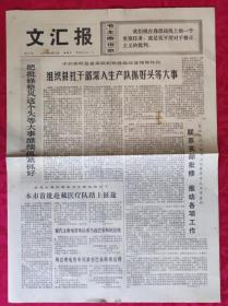 老报纸：文汇报1973年8月15日【4版】【组织县社干部深入生产队抓好头等大事】