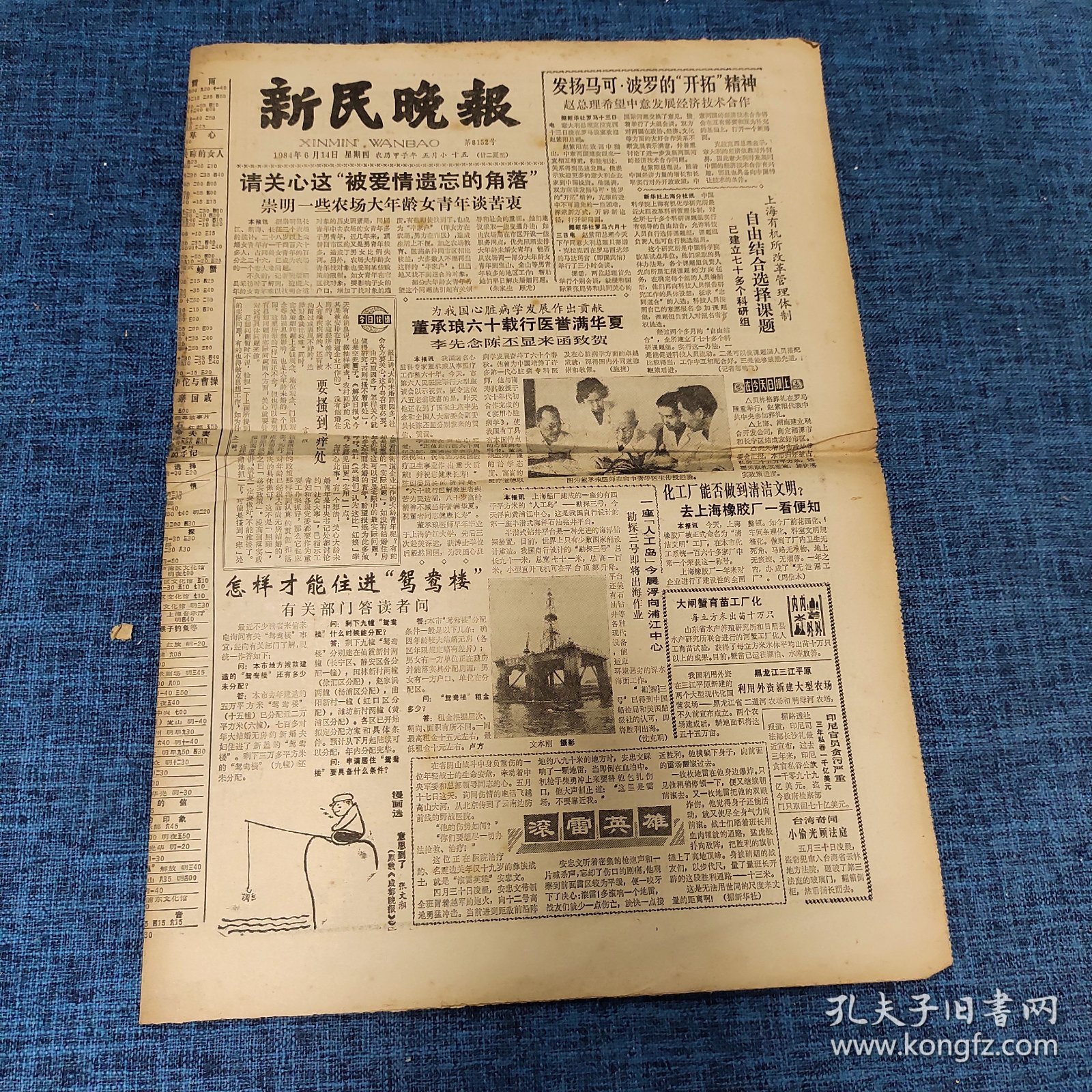 老报纸：新民晚报1984年6月14日 （请关心这“被爱情遗忘的角落”  8版）