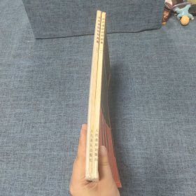 中外通俗钢琴曲集(一二)