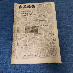 老报纸：新民晚报1985年1月9日 （才来！财来！双喜临门“千万富翁”乡 增至三十个  6版）