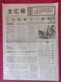 老报纸：文汇报1975年10月23日【4版】【兴安岭上一青松】