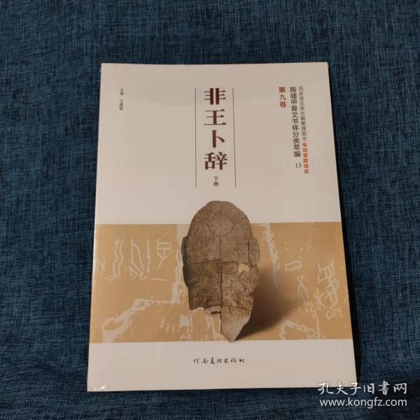 殷墟甲骨文书体分类萃编·第九卷：非王卜辞（下册）