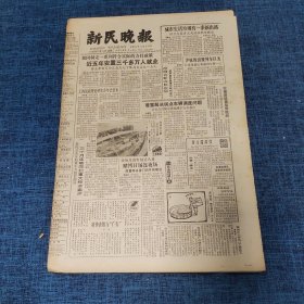 老报纸：新民晚报1985年12月24日 （近五年安置三千多万人就业  6版）