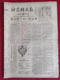老报纸；北京科技报1984.4.30第479期【  秦岭脚下的一颗金星】