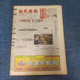 老报纸：新民晚报2002年12月26日 （五指握成拳 张江成集团  44版）
