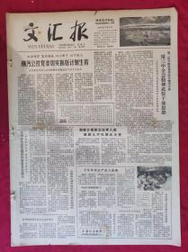 老报纸：文汇报1979年5月30日【4版】【横沔公社党委切实抓好计划生育】