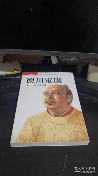 德川家康（第十一部）：王道无敌