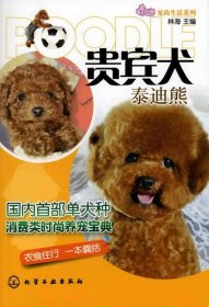 宠尚生活系列--贵宾犬:泰迪熊