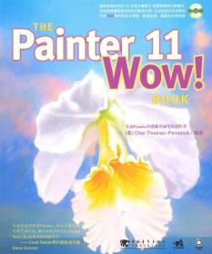 THE PAINTER 11 WOW！BOOK